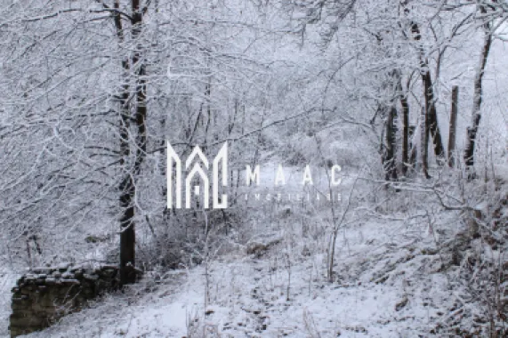 Teren I izvor de apă minerală Dangești I Punctul Valea Mare