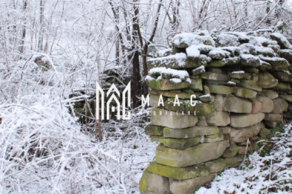 Teren I izvor de apă minerală Dangești I Punctul Valea Mare