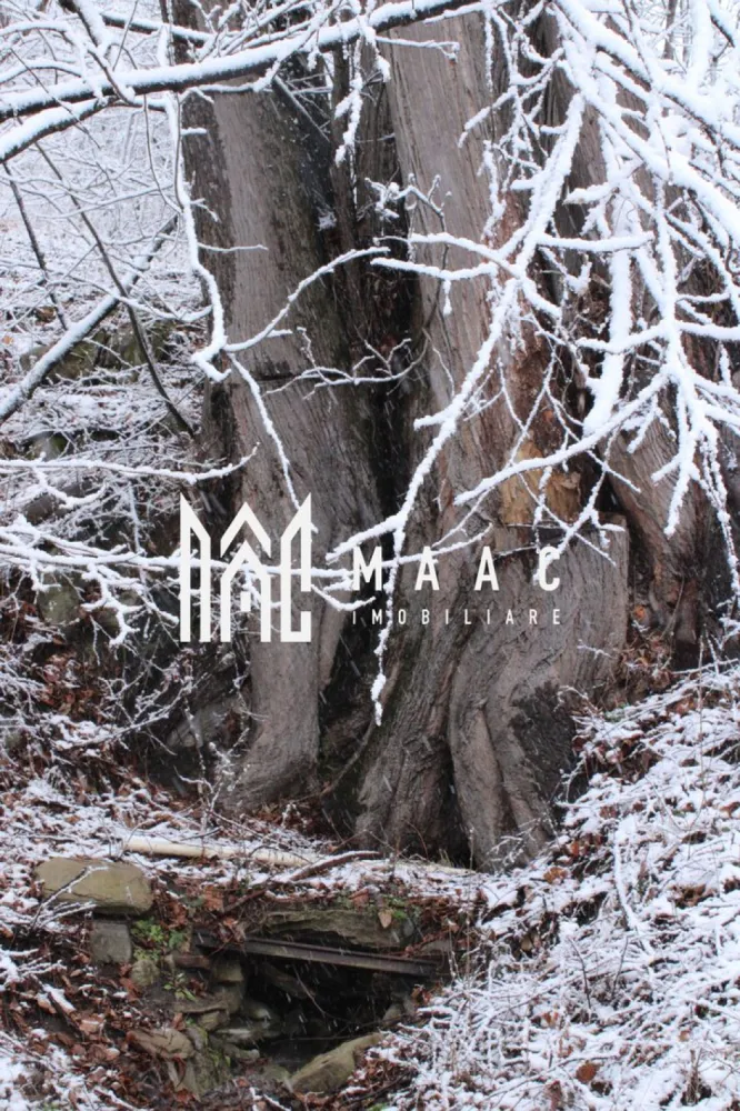 Teren I izvor de apă minerală Dangești I Punctul Valea Mare