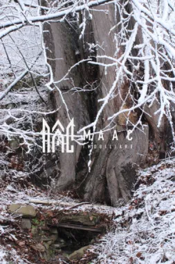 Teren I izvor de apă minerală Dangești I Punctul Valea Mare