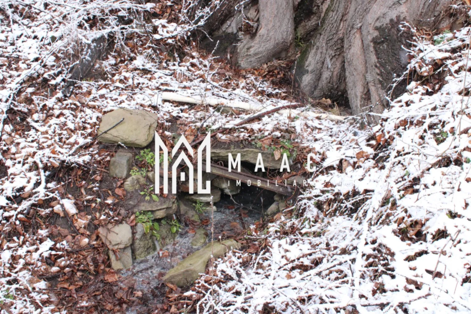 Teren I izvor de apă minerală Dangești I Punctul Valea Mare