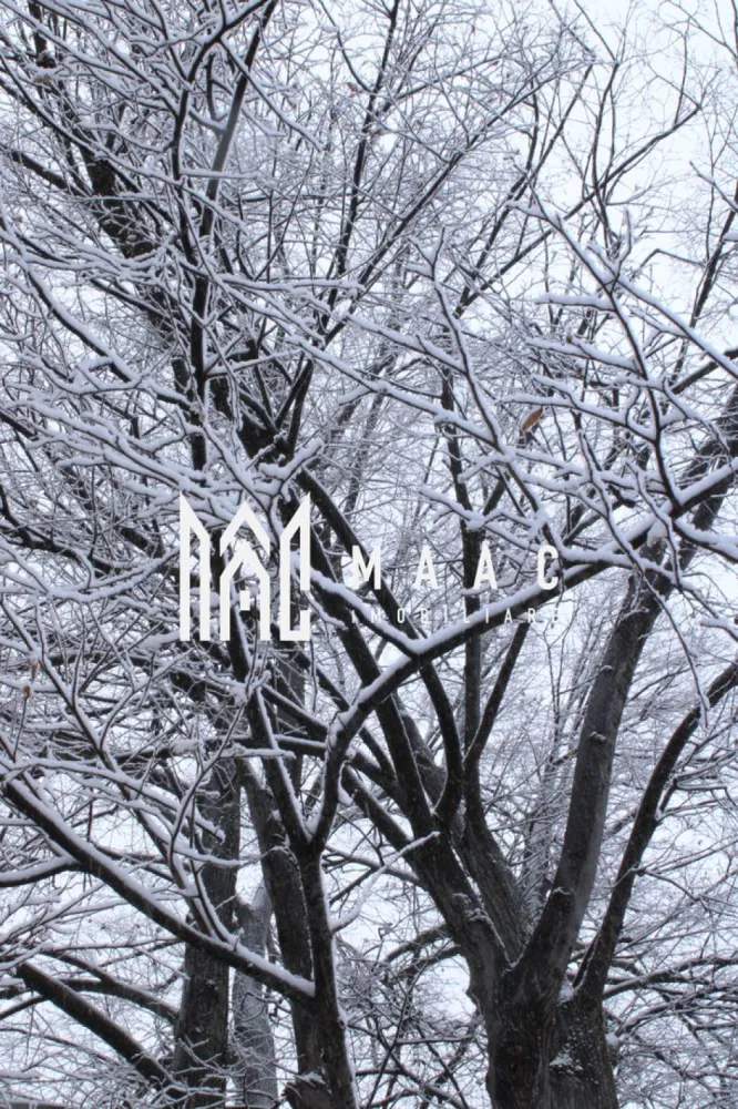 Teren I izvor de apă minerală Dangești I Punctul Valea Mare