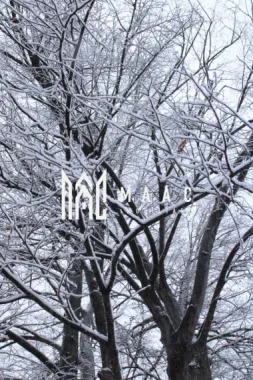 Teren I izvor de apă minerală Dangești I Punctul Valea Mare