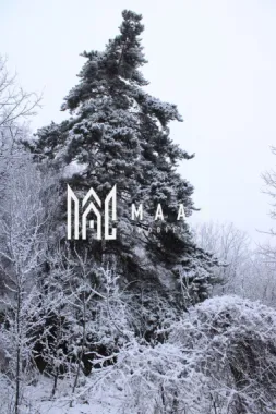 Teren I izvor de apă minerală Dangești I Punctul Valea Mare