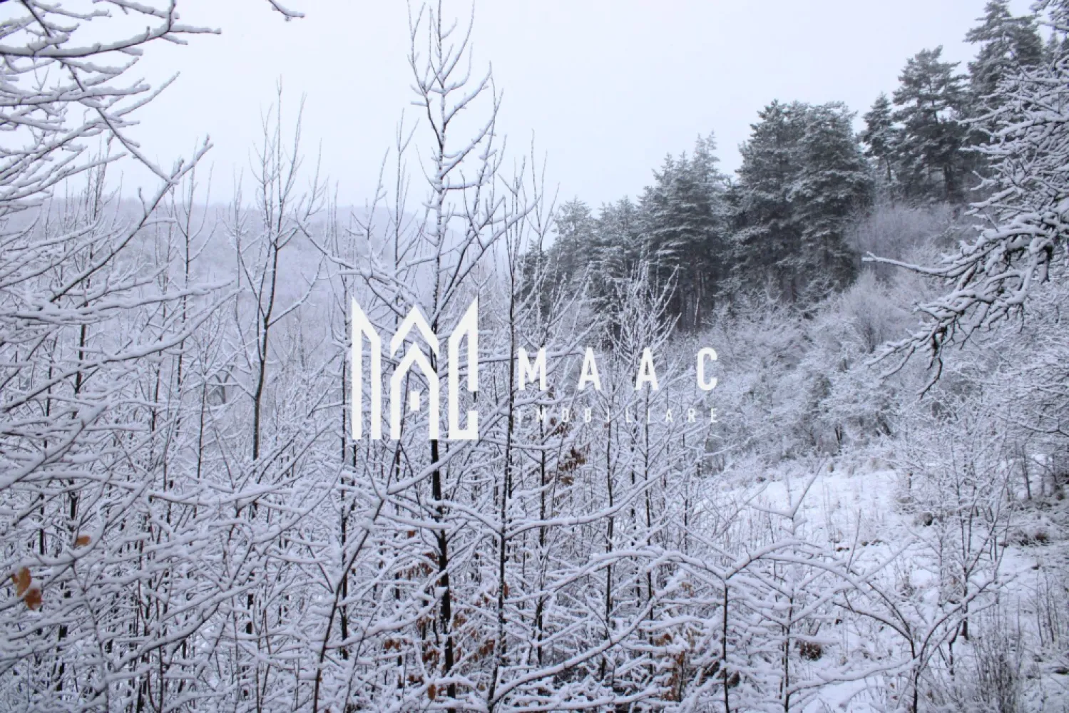 Teren I izvor de apă minerală Dangești I Punctul Valea Mare