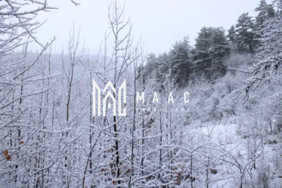 Teren I izvor de apă minerală Dangești I Punctul Valea Mare