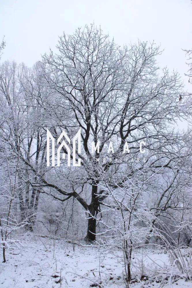 Teren I izvor de apă minerală Dangești I Punctul Valea Mare