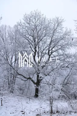 Teren I izvor de apă minerală Dangești I Punctul Valea Mare