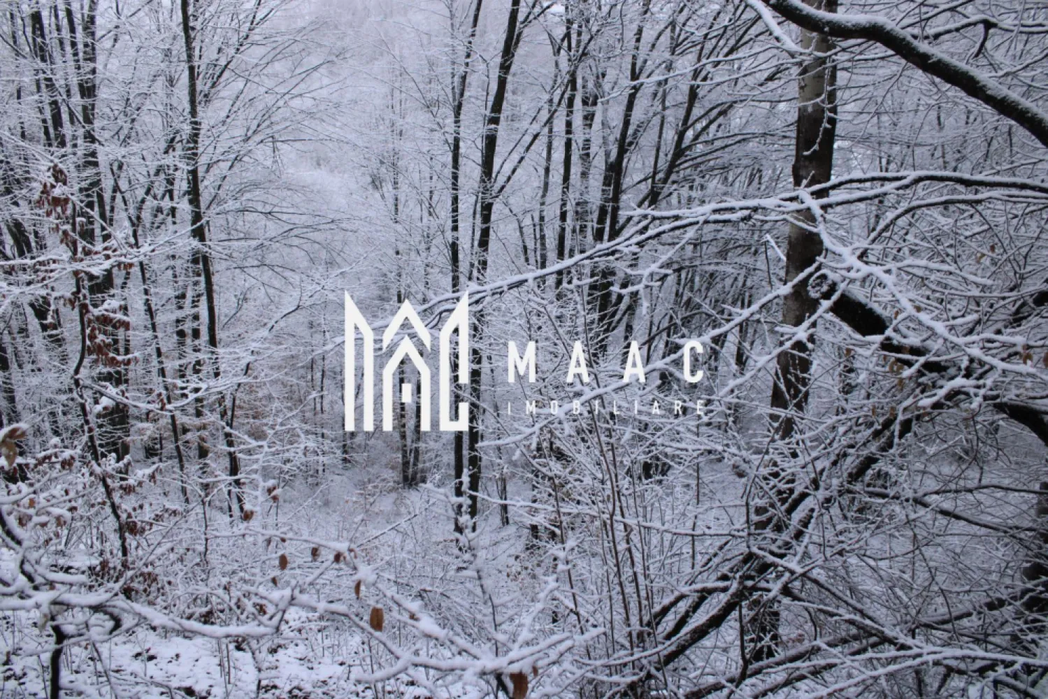 Teren I izvor de apă minerală Dangești I Punctul Valea Mare