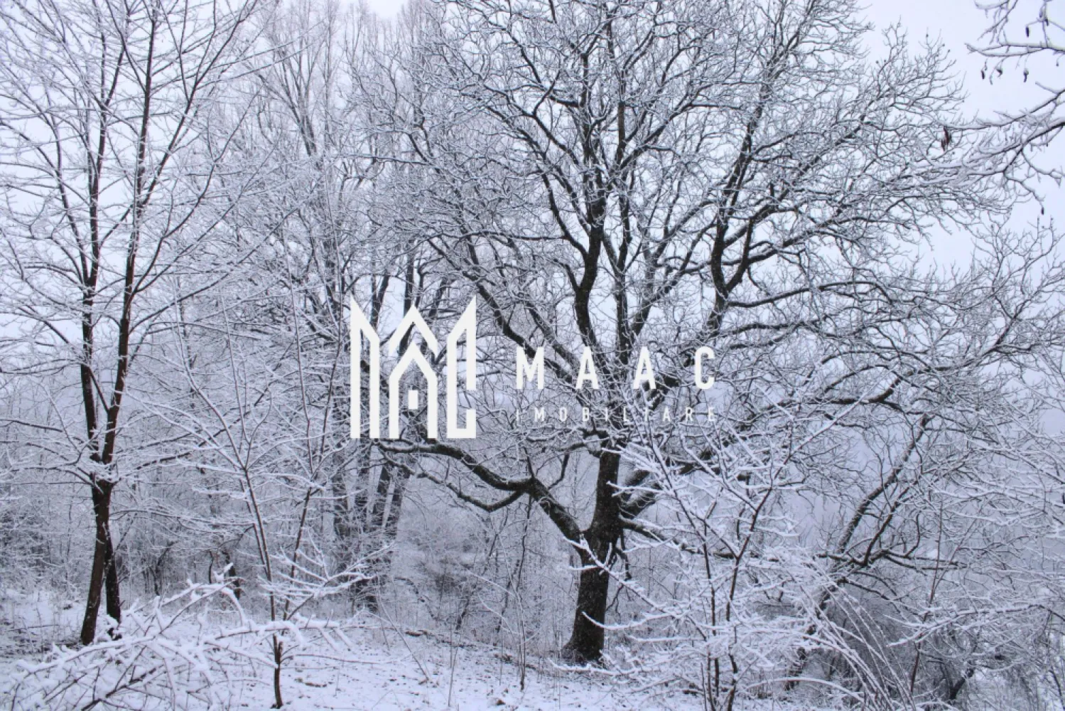 Teren I izvor de apă minerală Dangești I Punctul Valea Mare