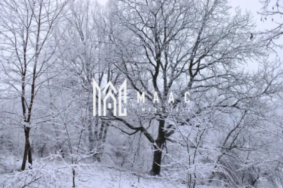 Teren I izvor de apă minerală Dangești I Punctul Valea Mare