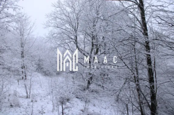 Teren I izvor de apă minerală Dangești I Punctul Valea Mare