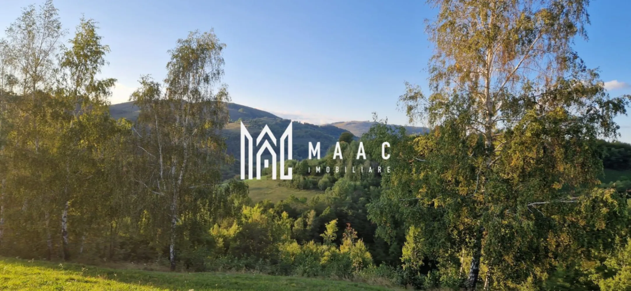 Fabulos Oferta imbatabila teren pe Transapuseana - MAAC Imobiliare va face o ofertă care pare foarte atractivă in apropierea Tranaspuseana, langa Remetea, având în vedere dimensiunea terenului și facilitățile: - Suprafața Terenului: 117.000 metri pătrați (sau 11,7 hectare) este o dimensiune considerabilă. Terenul este extravilan, autoritatile dispuse sa schimbe incadrarea pentru eventualele parcele pe care se doreste constructie. - Proximitatea față de Transăpușeni aduce potential de dezvoltare turistica. - Izvor de Apă Potabilă: - Drumul asfaltat până la limita proprietății este un alt punct pozitiv. -Statie de autobuz la baza proprietatii. Pentru mai multe detalii precizati telefonic ca ati vazut anuntul cu ID CP2937305  }}