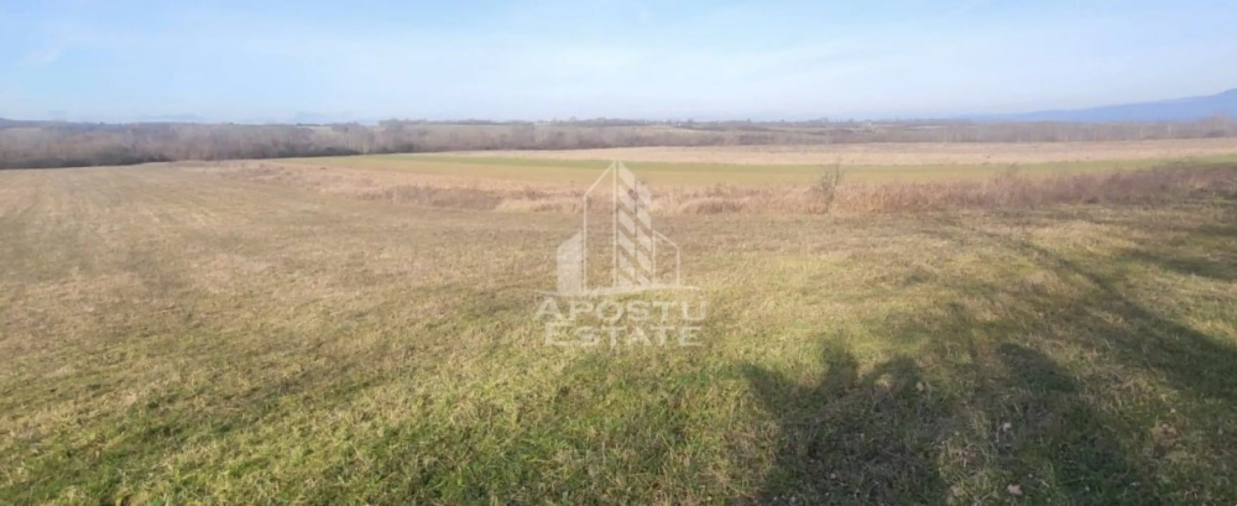Teren mixt de 10.000 mp, ideal pentru investitie, Barsa - Apostu Estate va ofera spre vanzare un Teren agricol la Barsa, langa Cuied, judetul Arad

Suprafata: 10.224 mp (aprox. 1,02 ha)
Dimensiuni: 30 m latime x 341 m lungime (conform CF)
Categoria: teren extravilan, in camp

 Caracteristici:

teren pretabil pentru agricultura bio (nu a mai fost lucrat de peste 10 ani)

sol fertil, ideal pentru culturi ecologice

potrivit pentru proiecte pe fonduri europene

 Posibile utilizari:

cultivarea de legume, cereale, plante medicinale sau tehnice

infiintare livada, vie sau plantatie de arbusti fructiferi

cresterea animalelor prin amenajarea de pasune sau fanete

dezvoltarea unor proiecte agro-turistice sau de micro-ferma

 Localizare: Barsa, langa Cuied, judetul Arad – la doar 50 km de municipiul Arad, zona linistita, accesibilitate buna
 Ofetra ID CP2708534