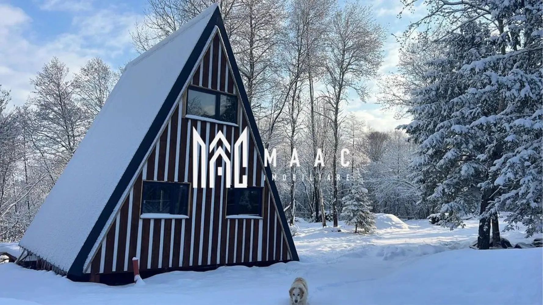 Complex turistic 7000 mp I 5 cabane individuale I Cârțișoara - Oportunitate unică de investiție – Complex turistic aproape de finalizare! Descoperiți o investiție strategică într-o zonă cu potențial turistic crescut! Această proprietate vastă, cu 7.000 mp de teren, este pregătită să devină un punct de atracție pentru turiști și o afacere profitabilă pentru investitori. Localizare avantajoasă – deschidere de 157 m la stradă, cu vegetație densă în partea frontală intr-un cadru natural deosebit. Restul proprietății este împrejmuit, asigurând siguranță și intimitate. Facilități esențiale – acces auto ușor, parcare generoasă, spațiu de joacă pentru copii. Construcții pe piloni de beton, cu structură din lemn și izolație premium (vata bazaltică 15 cm), garantând eficiență energetică și durabilitate. Cabane moderne – cabanele mici 4x (25 mp) sunt finalizate, dotate cu baie proprie, pat, canapea și terasă în față, fiecare având boiler separat. Cabana A – construcție spațioasă cu 2 dormitoare, baie mare, bucătărie și living, ideală pentru cazare premium. Infrastructură completă – fântână de apă forată, fosă septică de 10 mc, container maritim pentru depozitare. Spații comune – filigorie de 50 mp, cu cameră tehnică și 2 grupuri sanitare, perfectă pentru evenimente sau relaxare în aer liber. Proiect aproape de finalizare! În aproximativ o lună, complexul poate fi operațional, oferind un randament rapid al investiției. Necesită sursă de electricitate, generator electric sau panouri solare! Preț teren: 25 euro/mp – O oportunitate rară de a deține un domeniu turistic cu toate facilitățile necesare. Această investiție este ideală pentru antreprenori /investitori care doresc să dețină un complex turistic modern, cu multiple posibilități de extindere și profitabilitate. Contactați-ne acum pentru mai multe informații și programarea unei vizionări, specificând ID CP2494722. }}