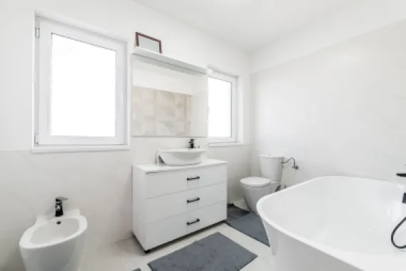 Doua case de vanzare la pret de una in Vladimirescu cartierul Florilor