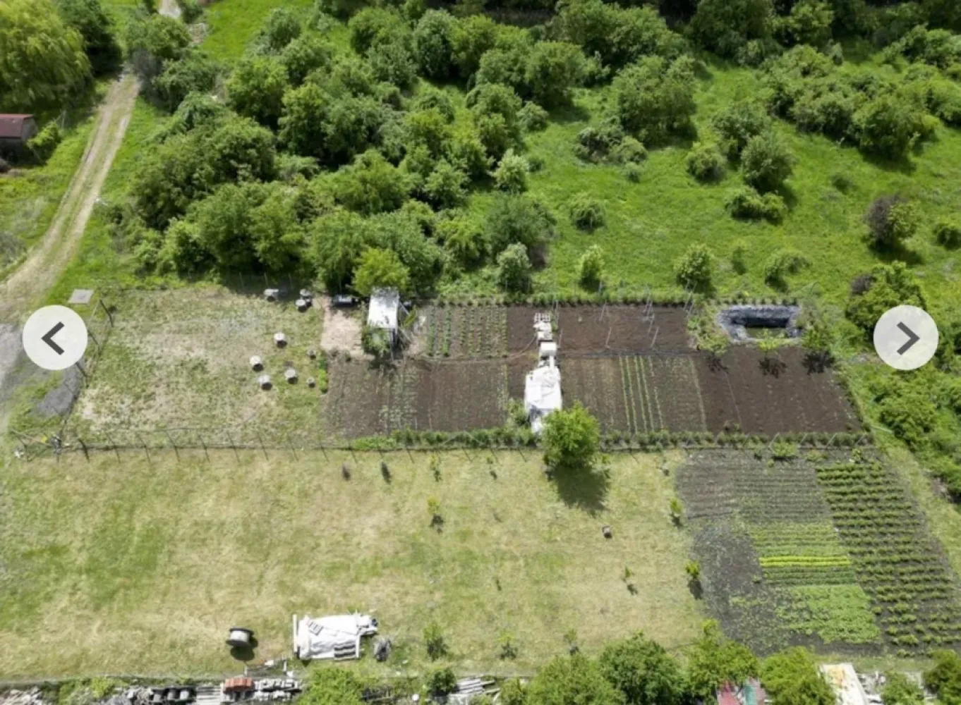 Teren 906 mp Arad, preț sub localitățile limitrofe.