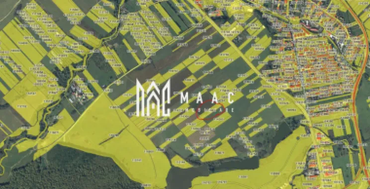 Logo MAAC IMOBILIARE logo