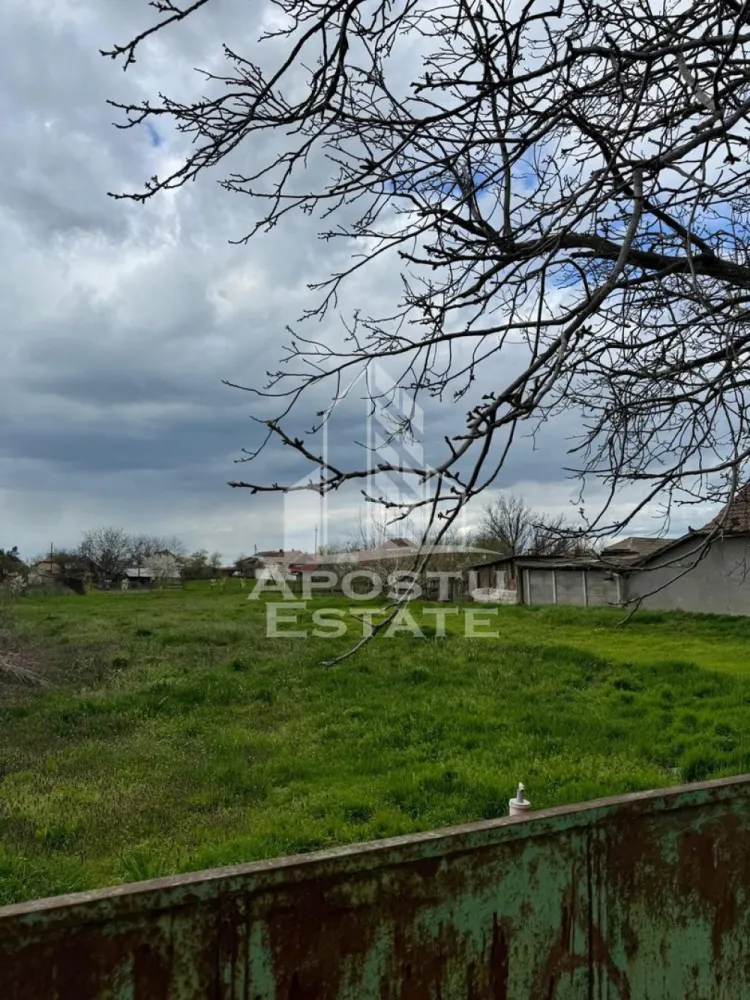 Teren intravilan 1000 mp in Dinias 20km de Timisoara