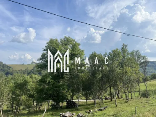 Super oferta I Vânzare Teren – Poiana Sohodol, Județ Alba