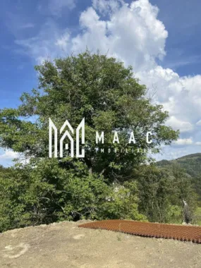 Super oferta I Vânzare Teren – Poiana Sohodol, Județ Alba