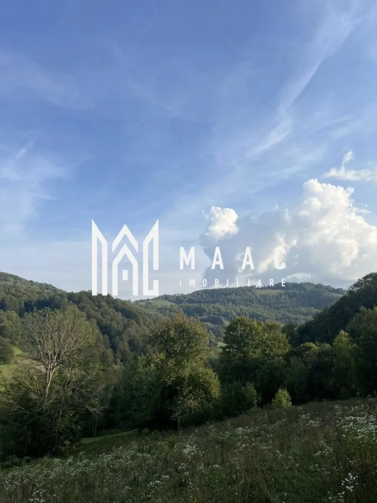 Super oferta I Vânzare Teren – Poiana Sohodol, Județ Alba