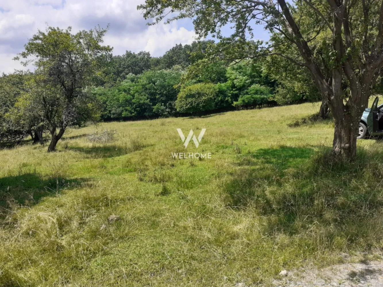 Teren Extravilan situat la intersectia DN1 cu Transfagarasan - Va propunem spre vanzare un teren Extravilan situat la intersectia DN1 cu Transfagarasan Deschidere 20 m la DN 7C-Transfagarasan Suprafata 3000 mp. Distanta faata de utilitati aprox. 100m Pretabil investitie, cabana, Pret: 17000 euro. }}