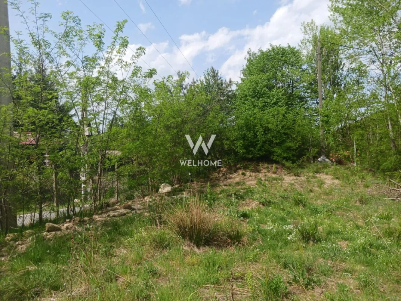 Teren Extravilan situat la intersectia DN1 cu Transfagarasan - Va propunem spre vanzare un teren Extravilan situat la intersectia DN1 cu Transfagarasan Deschidere 20 m la DN 7C-Transfagarasan Suprafata 3000 mp. Distanta faata de utilitati aprox. 100m Pretabil investitie, cabana, Pret: 17000 euro. }}