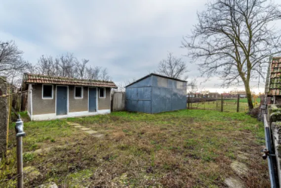 Casă + livadă tânără + curte 2.500 mp în Dorobanți