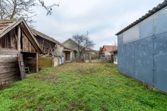 Casă + livadă tânără + curte 2.500 mp în Dorobanți