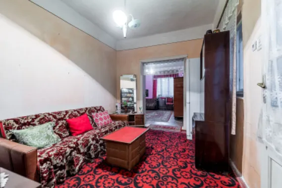 Casă + livadă tânără + curte 2.500 mp în Dorobanți