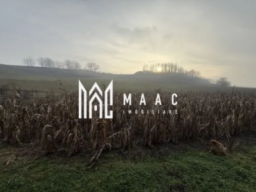 Casa individuala | 3502 MP | Utilitati | Miercurea Sibiului