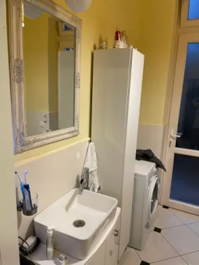 Apartament 2 camere, ultracentral-zona Parc Balcescu-Pret 137.000 euro