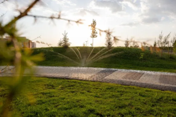 Dacă ai putea să ai un parc privat de 1,6 ha „la tine în curte”?