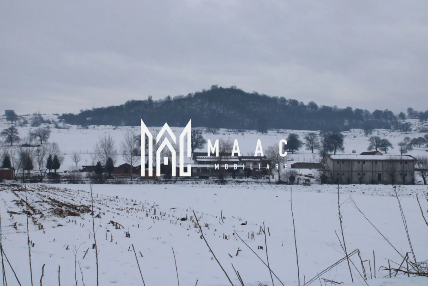 Teren 8000 mp I Intravilan I Utilitati- Vurpar - Se oferă spre vânzare un teren agricol de 8000 metri pătrați situat la intrarea în localitatea Vurpar. Această proprietate include și trei construcții care, deși sunt erodate de timp, au mare potențial de renovare (cca 530mp + 108 mp fanare + 90mp siloz). Detalii despre proprietate: - Teren agricol ideal pentru diverse activități agricole - Trei construcții din care proprietarul are 30% din fiecare ce pot fi renovate pentru a fi utilizate ca depozite, spații comerciale,etc - Acces facil la drum principal Beneficii: - Locație strategică, la intrarea în Vurpar - Potențial ridicat pentru dezvoltare agricolă sau alte activități - Oportunitate excelentă pentru investitori - Curent trifazic, apa, canalizare Nu ratați ocazia de a investi în această proprietate cu un potențial fantastic! Pentru mai multe detalii sau pentru a programa o vizionare, nu ezitați să ne contactați Pentru mai multe detalii precizati telefonic ca ati vazut anuntul cu ID CP2887007. }}