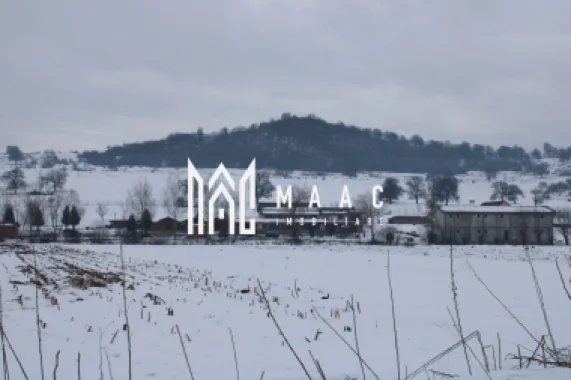 Teren 8000 mp I Intravilan I Utilitati- Vurpar