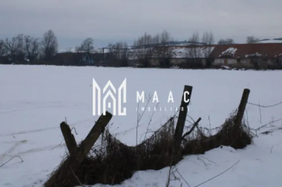 Teren 8000 mp I Intravilan I Utilitati- Vurpar