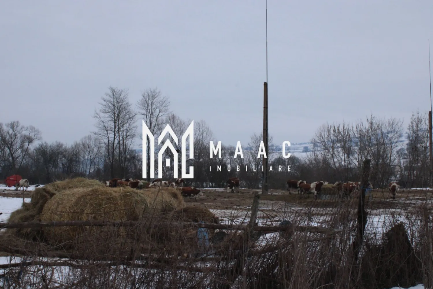 Teren 8000 mp I Intravilan I Utilitati- Vurpar - Se oferă spre vânzare un teren agricol de 8000 metri pătrați situat la intrarea în localitatea Vurpar. Această proprietate include și trei construcții care, deși sunt erodate de timp, au mare potențial de renovare (cca 530mp + 108 mp fanare + 90mp siloz). Detalii despre proprietate: - Teren agricol ideal pentru diverse activități agricole - Trei construcții din care proprietarul are 30% din fiecare ce pot fi renovate pentru a fi utilizate ca depozite, spații comerciale,etc - Acces facil la drum principal Beneficii: - Locație strategică, la intrarea în Vurpar - Potențial ridicat pentru dezvoltare agricolă sau alte activități - Oportunitate excelentă pentru investitori - Curent trifazic, apa, canalizare Nu ratați ocazia de a investi în această proprietate cu un potențial fantastic! Pentru mai multe detalii sau pentru a programa o vizionare, nu ezitați să ne contactați Pentru mai multe detalii precizati telefonic ca ati vazut anuntul cu ID CP2887007. }}