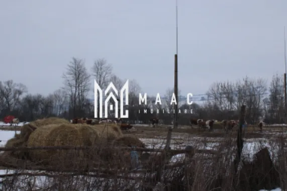 Teren 8000 mp I Intravilan I Utilitati- Vurpar