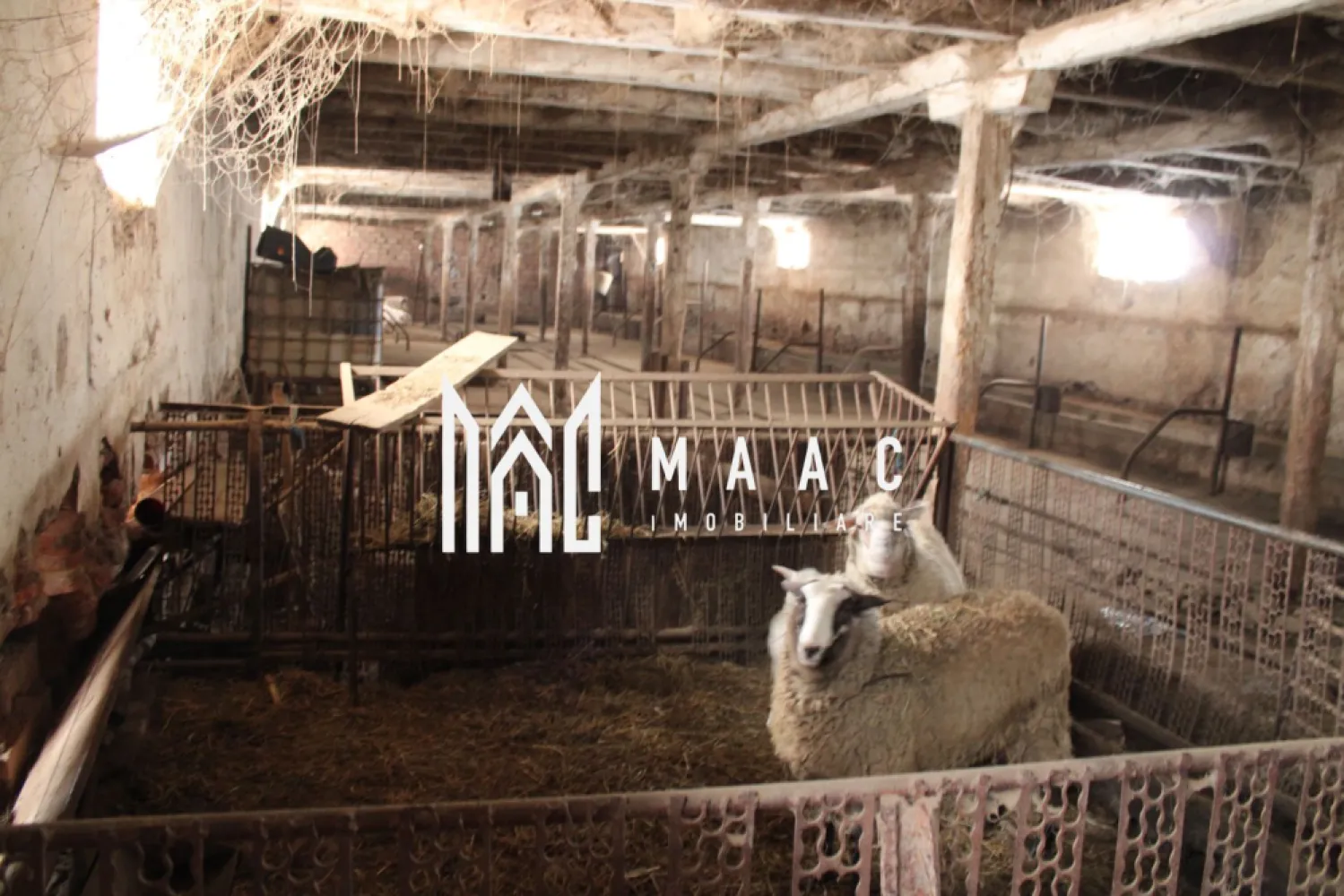 Ferma de Vânzare – Oportunitate Unică!