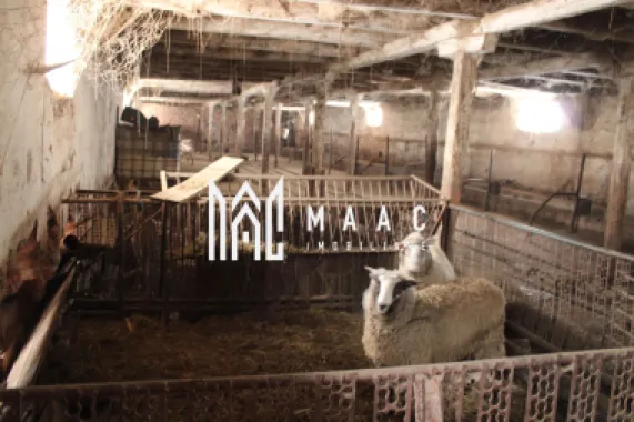 Ferma de Vânzare – Oportunitate Unică!