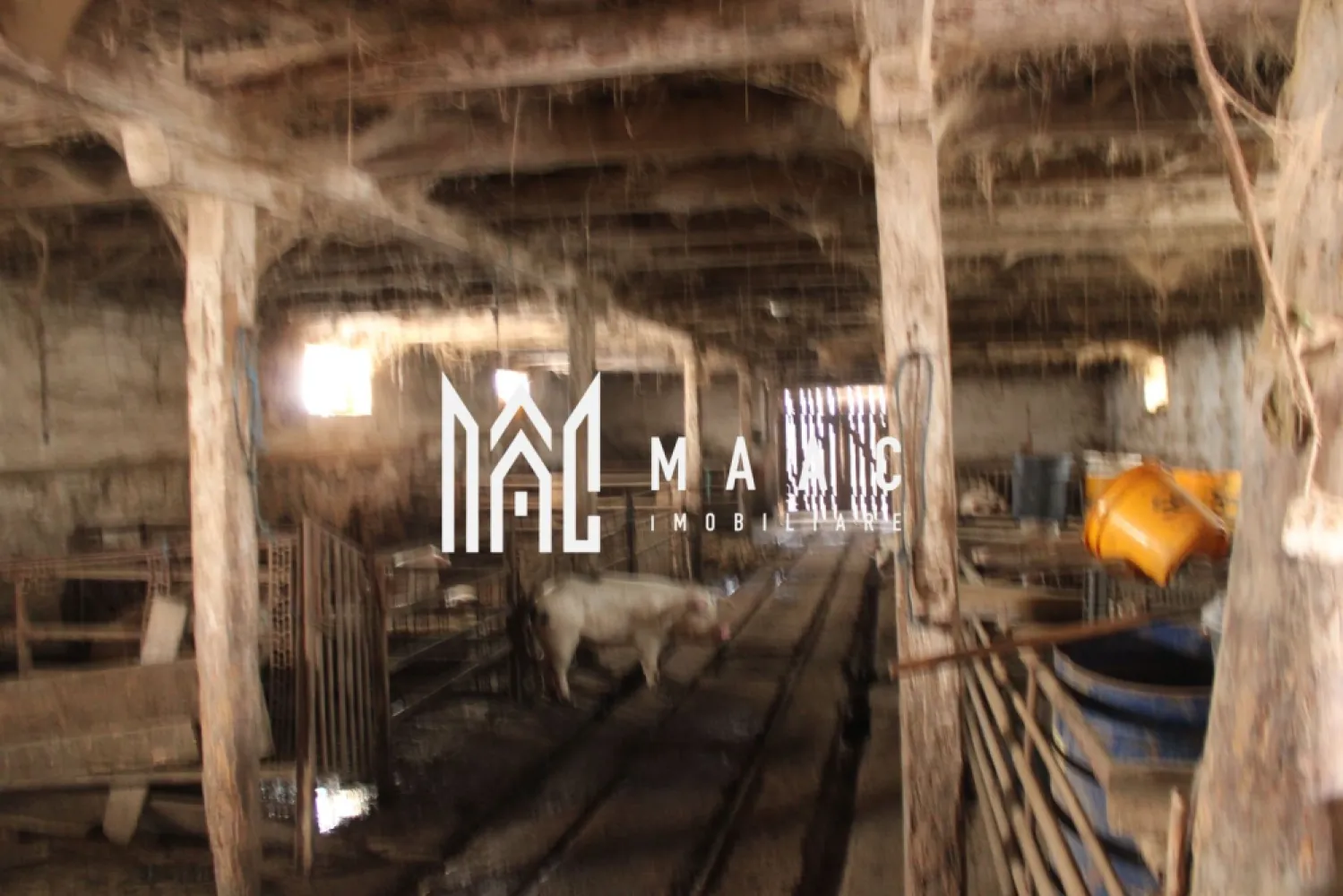 Ferma de Vânzare – Oportunitate Unică!