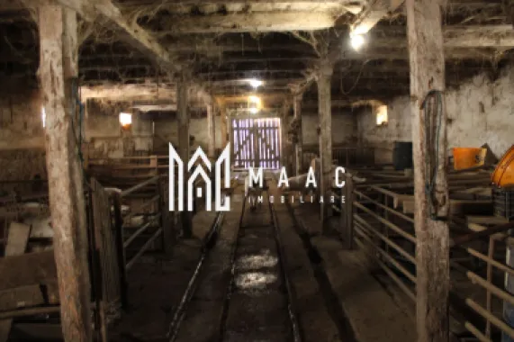 Ferma de Vânzare – Oportunitate Unică!