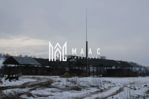 Ferma de Vânzare – Oportunitate Unică!