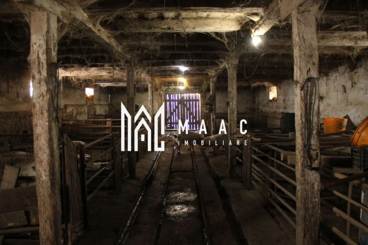 Ferma de Vânzare – Oportunitate Unică!