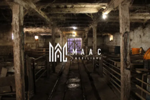 Ferma de Vânzare – Oportunitate Unică!