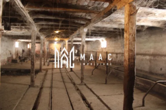 Ferma de Vânzare – Oportunitate Unică!