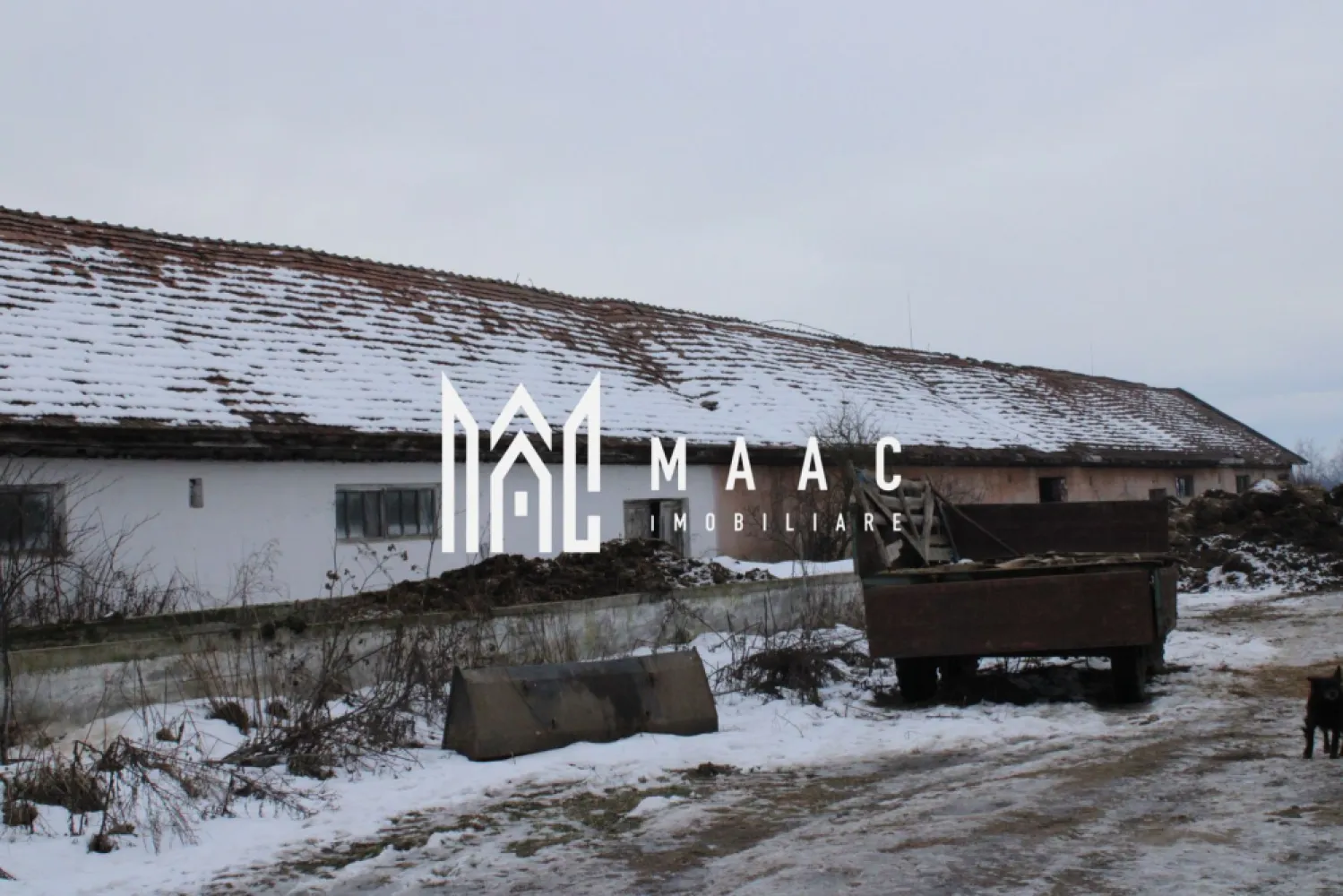 Ferma de Vânzare – Oportunitate Unică!