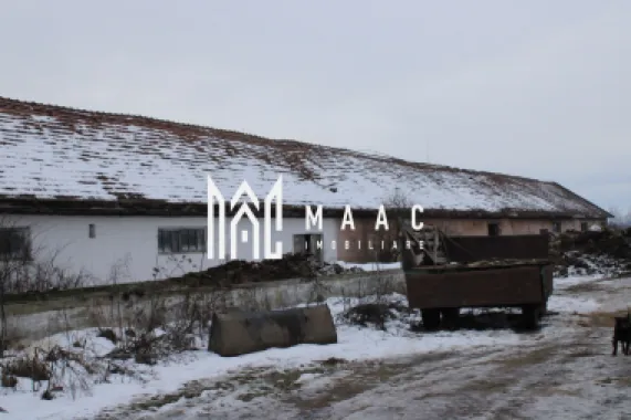 Ferma de Vânzare – Oportunitate Unică!