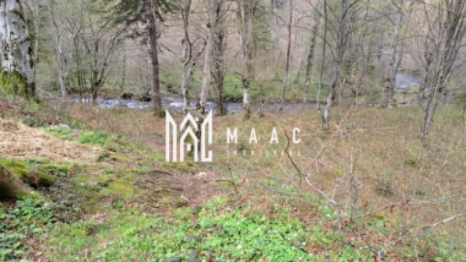 Teren Intravilan |2000Mp| Valea Avrigului